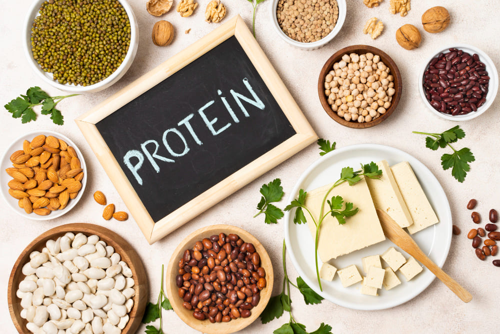 PROTEIN 표지판과 두부·콩류·견과류 등 식물성 단백질 식품 — 채식주의자 단백질 조합으로 필수아미노산 충족