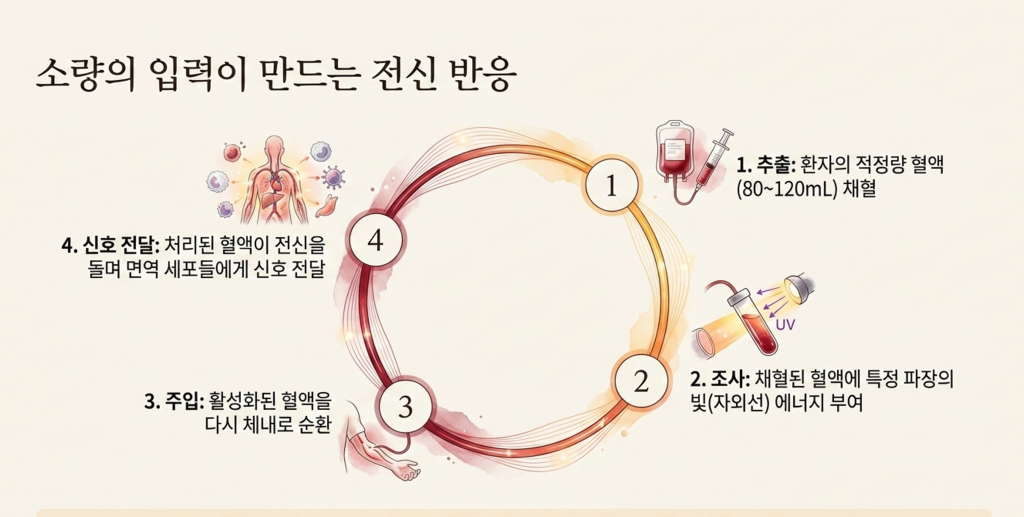광양자치료에서 소량의 혈액으로도 전신반응이 나오는 기전