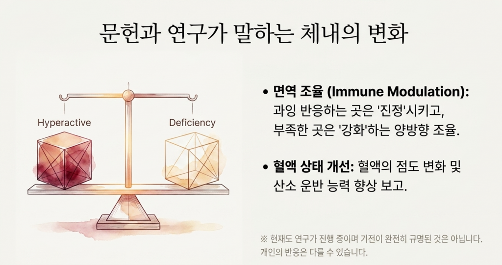 광양자치료의 연구와 문헌에 따른 체내의 변화에 대한 설명