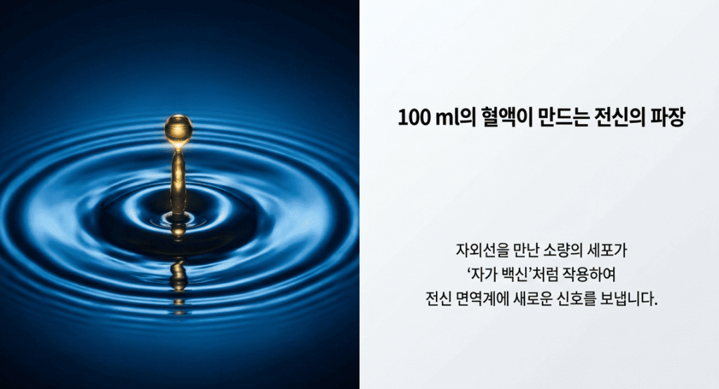소량의 혈액양으로  치료하는 광양자치료