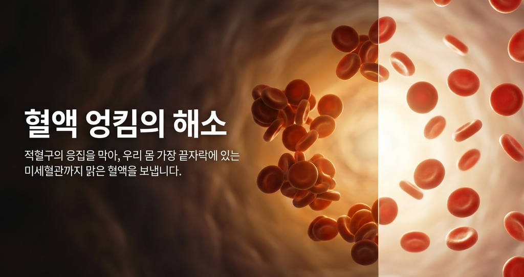 적혈구의 응집에 대한 광양자치료의 효과 (임상연구베이스)