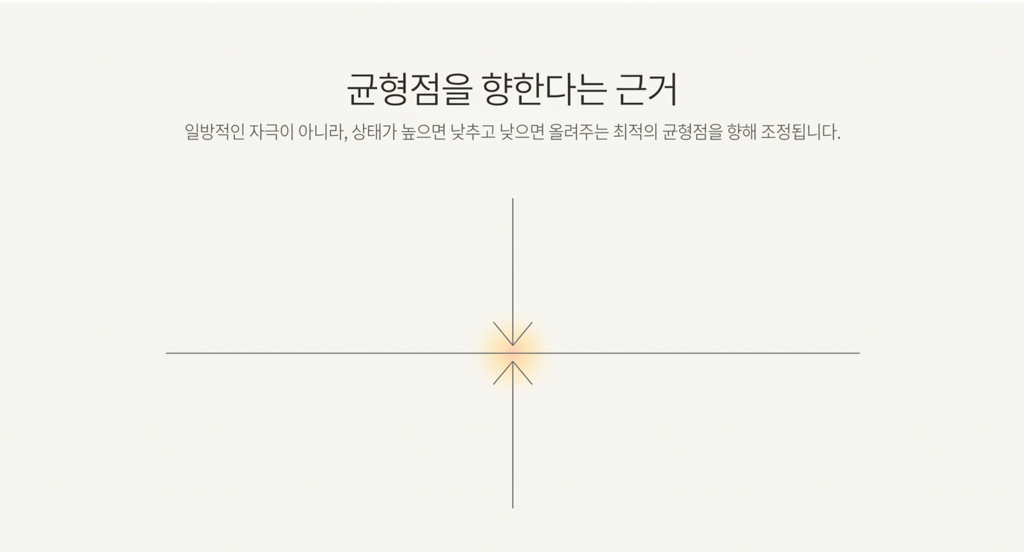 광양자는 최적의 균형점을 향해 조정하는 양면성가짐(추정 가설)