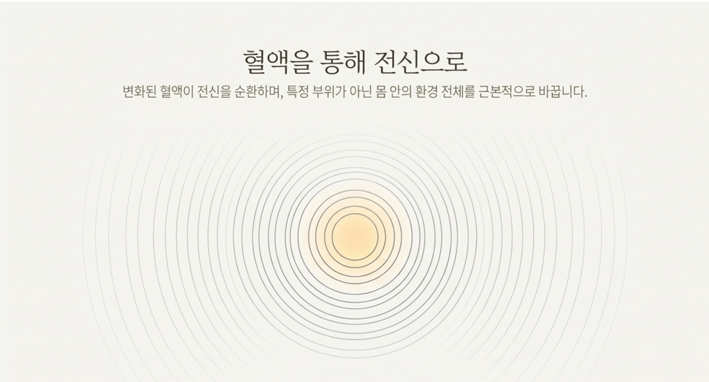 소량의 혈액에 대한 광양자치료는 몸안의 환경자체에 영향을 준다