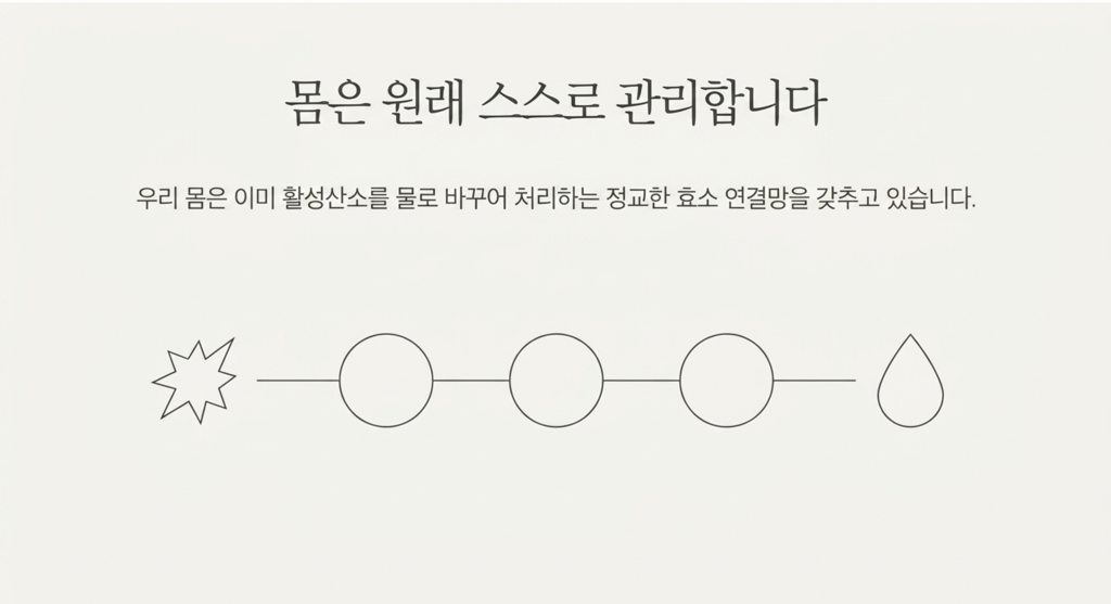 몸은 스스로를 관리할수있다