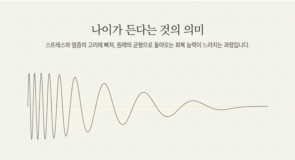 나이가 든다는것의 의미는 회복이 느려진다는것
